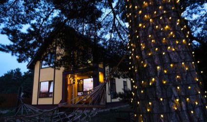 holiday light