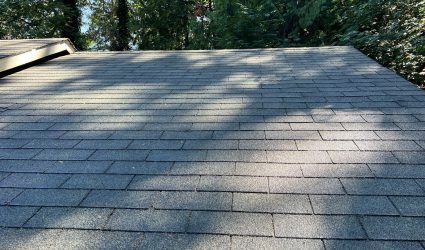 roof cleaning